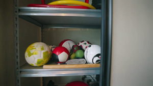 RackZone Rivet Shelving holds assorted sports balls in storage area.
